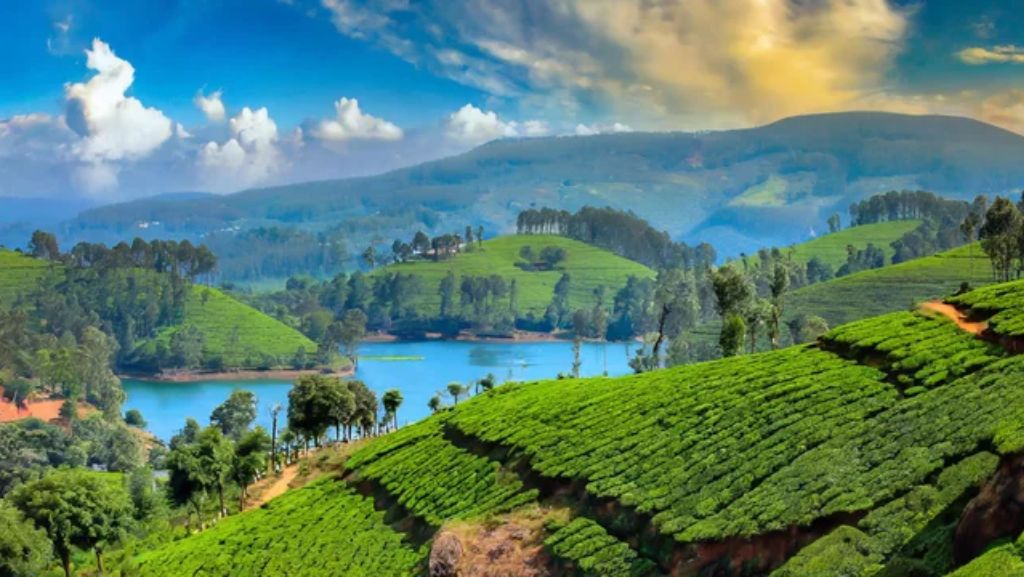 Ooty